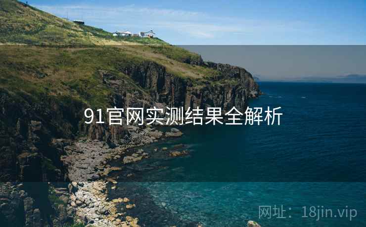 91官网实测结果全解析 91官网实测结果全解析